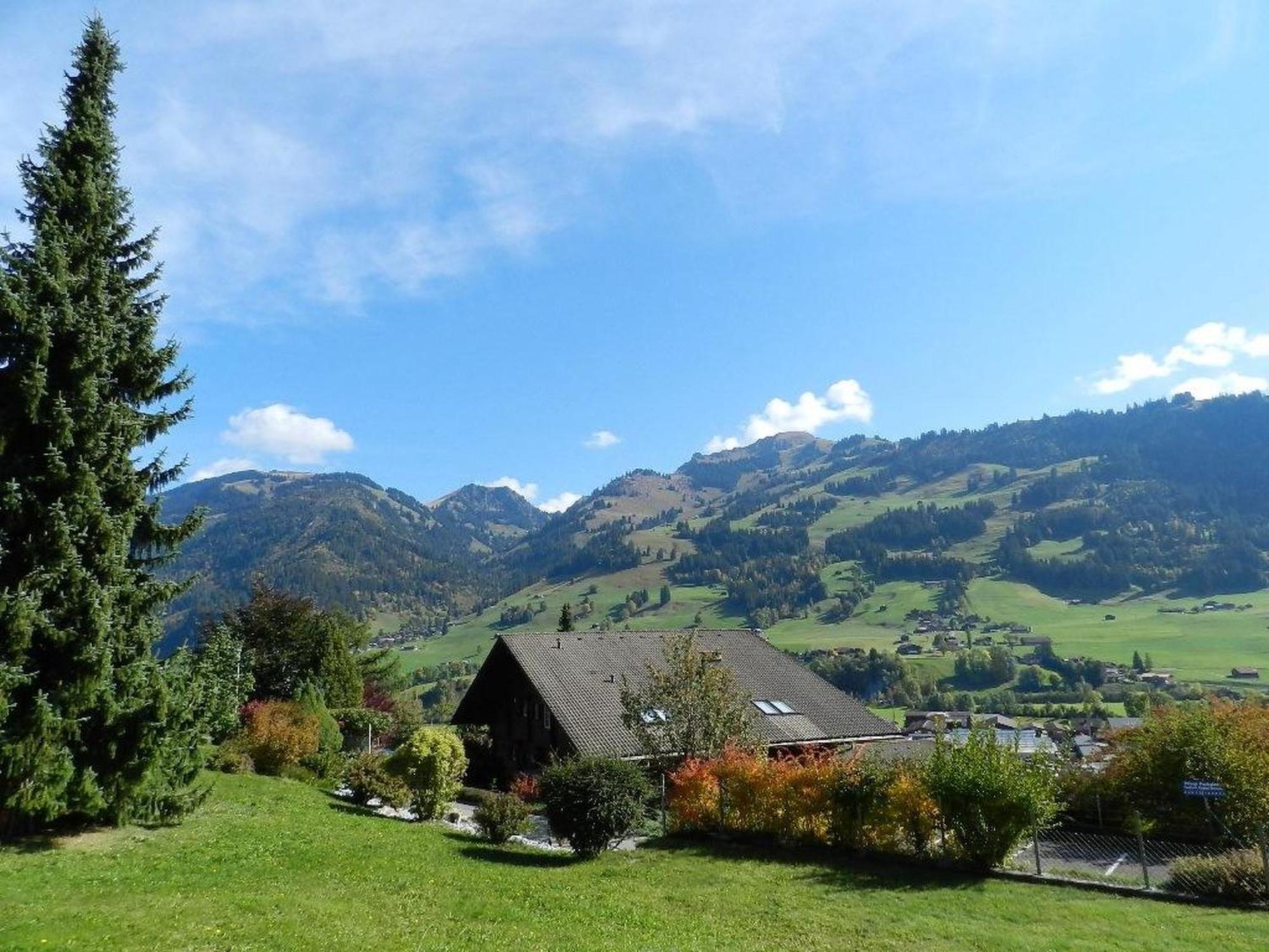 Apartment Fink By Interhome Zweisimmen Exteriér fotografie